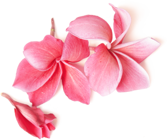 Secreto Beauty Lab Larnaca