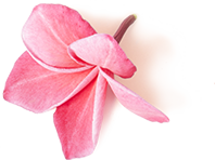 Secreto Beauty Lab Larnaca